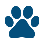 paws-4